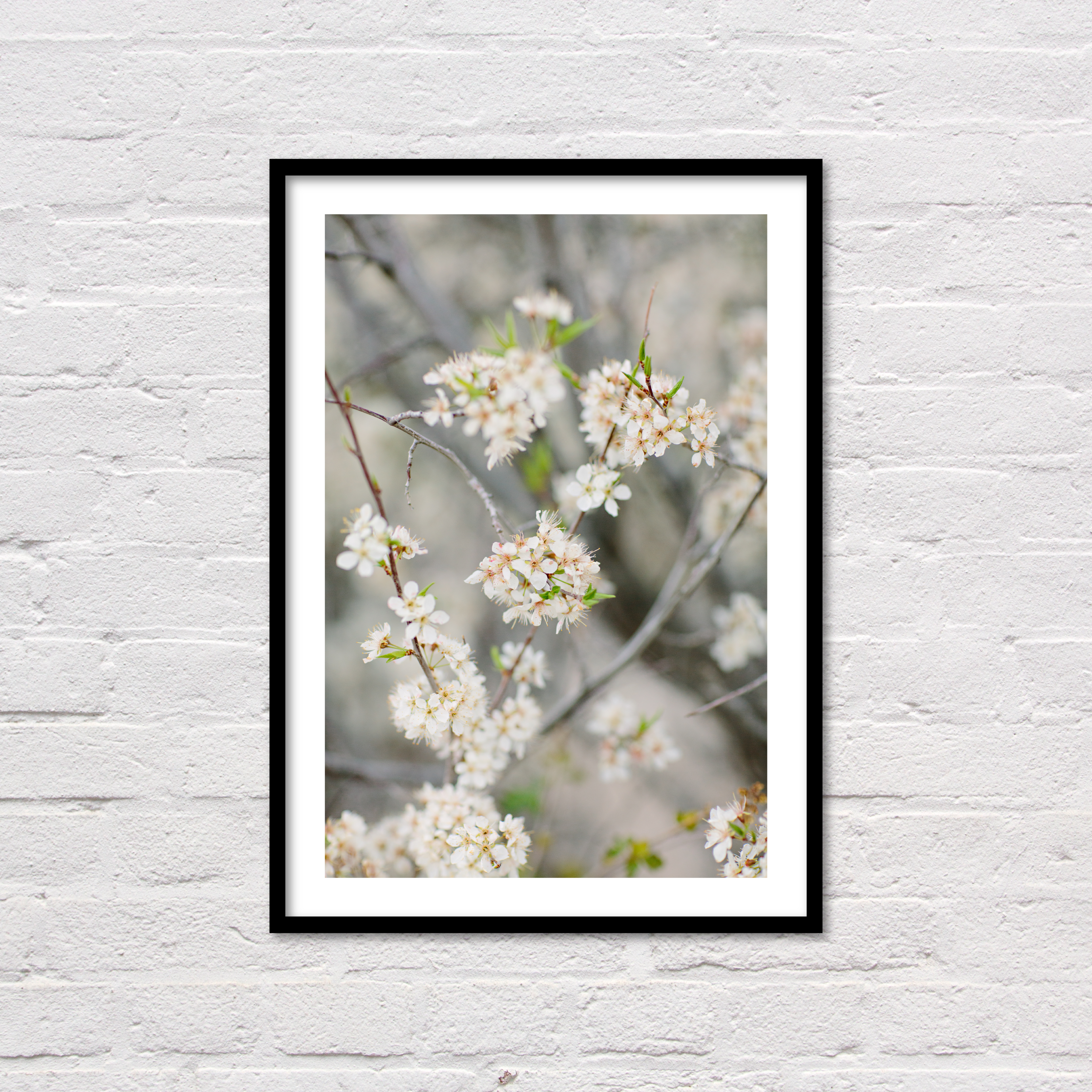 Spring Floral Print, Blossoms, Printable Wall Art, Minimalist Floral Printable, White & Grey Modern Art, Flower Photography